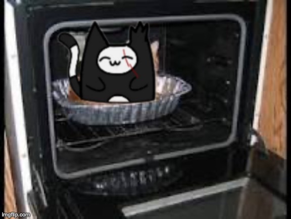 mmmmmmmmmmm | image tagged in cat in oven | made w/ Imgflip meme maker