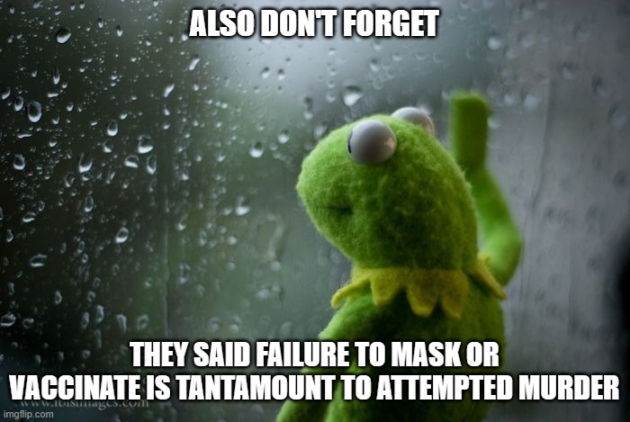 kermit window | ALSO DON'T FORGET THEY SAID FAILURE TO MASK OR VACCINATE IS TANTAMOUNT TO ATTEMPTED MURDER | image tagged in kermit window | made w/ Imgflip meme maker