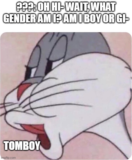 Your Gender: | ???: OH HI- WAIT, WHAT GENDER AM I? AM I BOY OR GI-; TOMBOY | image tagged in bugs bunny no | made w/ Imgflip meme maker