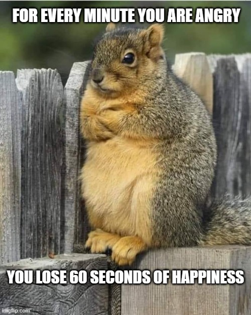 Choose happiness | FOR EVERY MINUTE YOU ARE ANGRY; YOU LOSE 60 SECONDS OF HAPPINESS | image tagged in annoyed squirrel | made w/ Imgflip meme maker