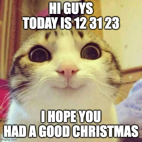 happy new year! ??� | HI GUYS
TODAY IS 12 31 23; I HOPE YOU HAD A GOOD CHRISTMAS | image tagged in memes,smiling cat | made w/ Imgflip meme maker