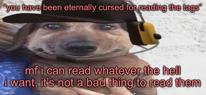 čħųćķľẽňüťś | “you have been eternally cursed for reading the tags”; mf i can read whatever the hell i want, it’s not a bad thing to read them | image tagged in chucklenuts | made w/ Imgflip meme maker