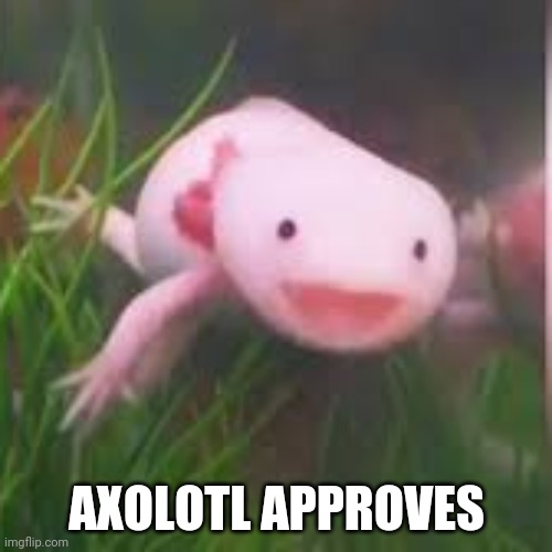 axolotl is happy | AXOLOTL APPROVES | image tagged in axolotl is happy | made w/ Imgflip meme maker