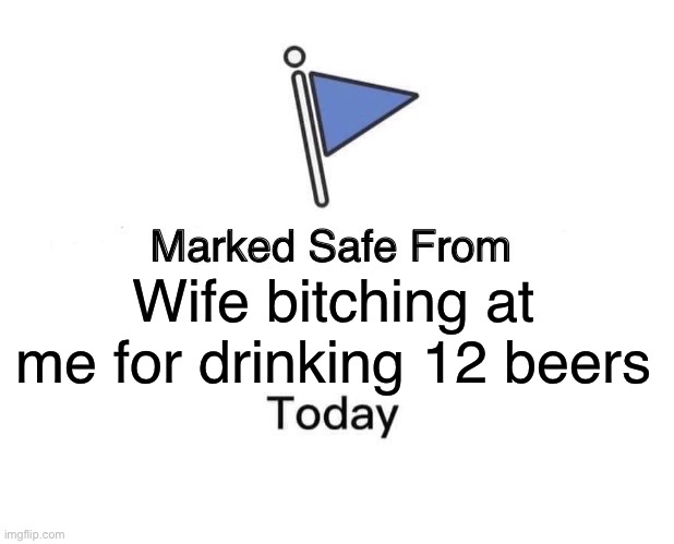 Beer | Wife bitching at me for drinking 12 beers | image tagged in memes,marked safe from | made w/ Imgflip meme maker