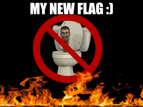 Perfect :) | MY NEW FLAG :) | image tagged in idk,stuff,lol,why are you reading the tags | made w/ Imgflip meme maker