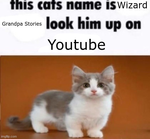 Yuh | Wizard; Grandpa Stories; Youtube | image tagged in this cats name is x look him up on google,oh wow are you actually reading these tags,memes,cats | made w/ Imgflip meme maker