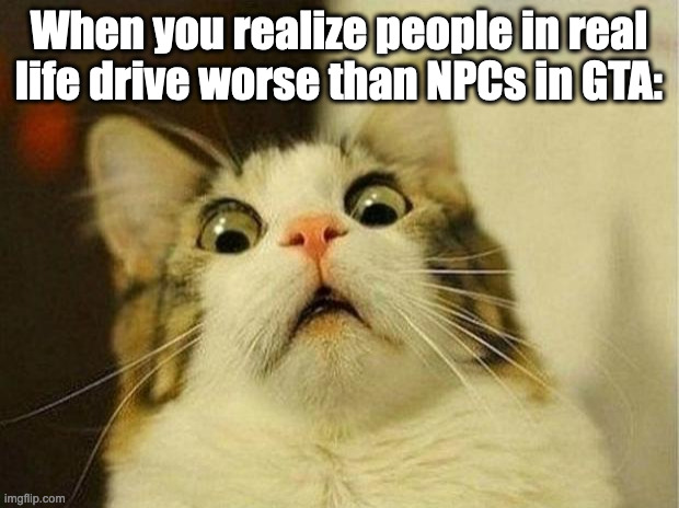Scared Cat Meme | When you realize people in real life drive worse than NPCs in GTA: | image tagged in memes,scared cat,grand theft auto,cats | made w/ Imgflip meme maker