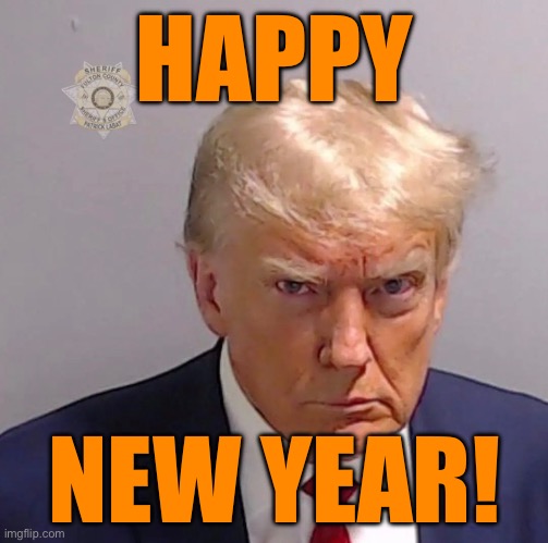 HAPPY NEW YEAR! | HAPPY; NEW YEAR! | image tagged in happy new year,trump,mug shot | made w/ Imgflip meme maker