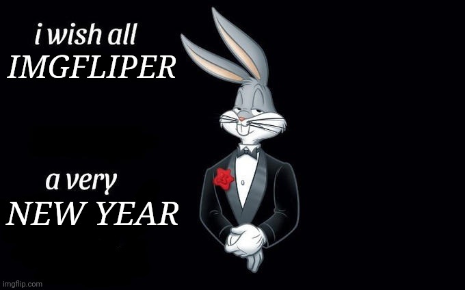 happy new year yall | IMGFLIPER; NEW YEAR | image tagged in i wish all x a very y,happy new year | made w/ Imgflip meme maker