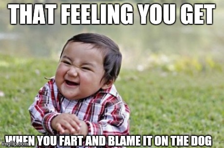 Evil Toddler | THAT FEELING YOU GET WHEN YOU FART AND BLAME IT ON THE DOG | image tagged in memes,evil toddler | made w/ Imgflip meme maker