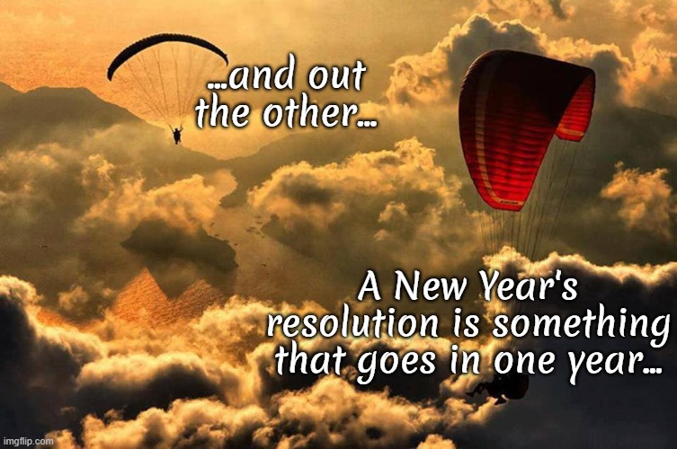 Resolution... | ...and out the other... A New Year's resolution is something that goes in one year... | image tagged in new year resolutions,in,out,other | made w/ Imgflip meme maker
