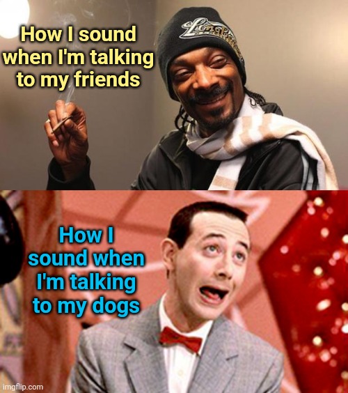 How I sound when I'm talking to my friends; How I sound when I'm talking to my dogs | image tagged in snoop dogg,peewee | made w/ Imgflip meme maker
