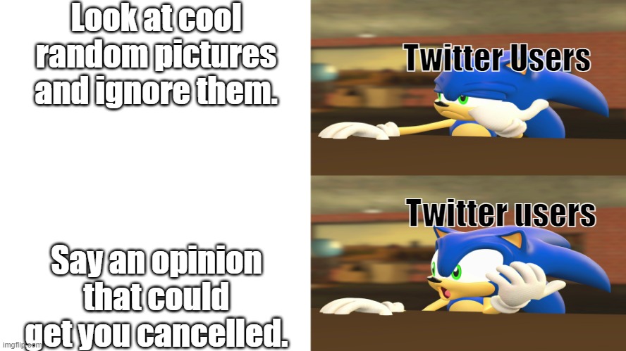 Honestly though | Look at cool random pictures and ignore them. Twitter Users; Twitter users; Say an opinion that could get you cancelled. | image tagged in sonic reaction,facts,relatable,relatable memes,opinion | made w/ Imgflip meme maker