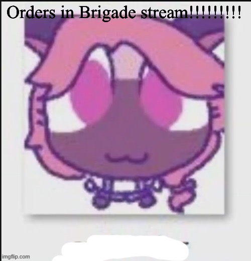 Mittens Wichien announcement temp | Orders in Brigade stream!!!!!!!!! | image tagged in mittens wichien announcement temp | made w/ Imgflip meme maker
