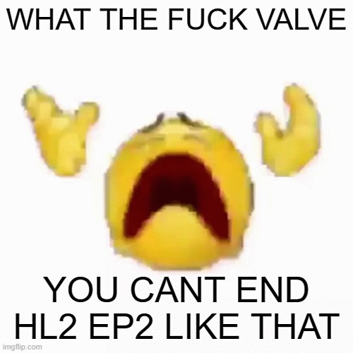 AND DO NOTHING FOR 10 FUCKING YEARS | WHAT THE FUCK VALVE; YOU CANT END HL2 EP2 LIKE THAT | image tagged in nooo | made w/ Imgflip meme maker