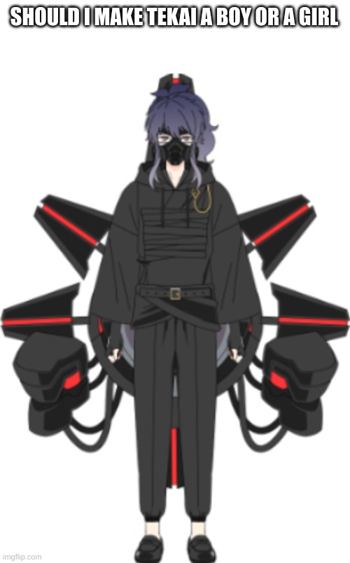 Idk | SHOULD I MAKE TEKAI A BOY OR A GIRL | image tagged in asdfghjkiuytrewa | made w/ Imgflip meme maker