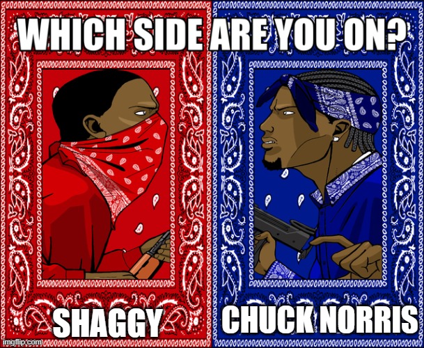 WHICH SIDE ARE YOU ON? | SHAGGY; CHUCK NORRIS | image tagged in which side are you on | made w/ Imgflip meme maker