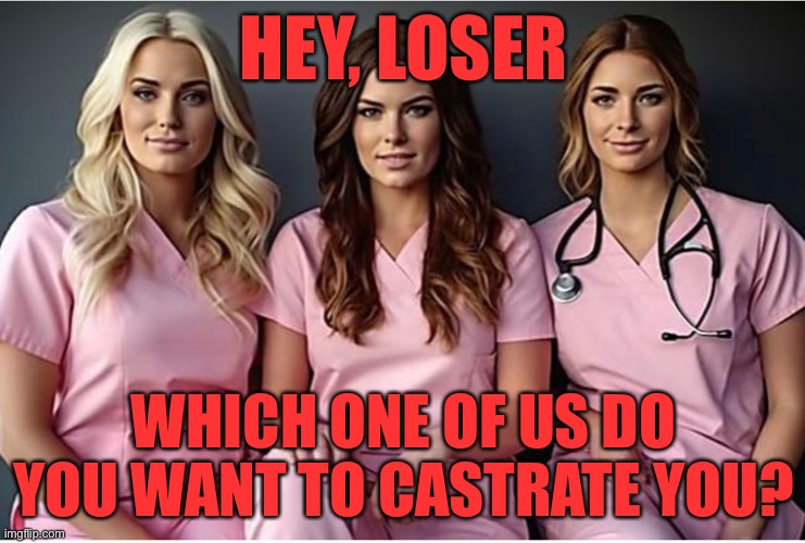 Nurse | HEY, LOSER; WHICH ONE OF US DO YOU WANT TO CASTRATE YOU? | image tagged in nurse | made w/ Imgflip meme maker