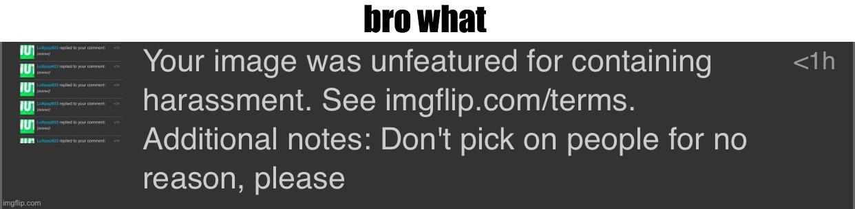 bro what | made w/ Imgflip meme maker
