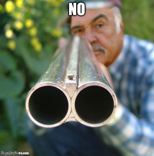 Connery Shotgun | NO | image tagged in connery shotgun | made w/ Imgflip meme maker