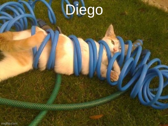 hrmm | Diego | image tagged in hrmm | made w/ Imgflip meme maker
