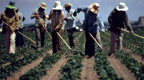 Mexican Farm Workers farmer JPP Blank Meme Template