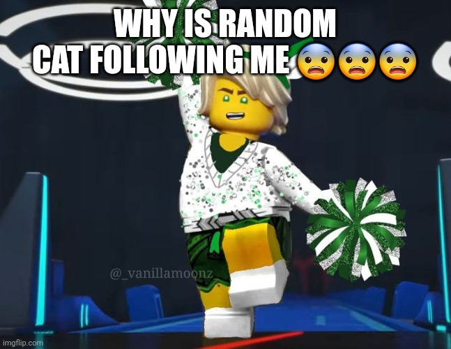 twink mfer | WHY IS RANDOM CAT FOLLOWING ME 😨😨😨 | image tagged in twink mfer | made w/ Imgflip meme maker