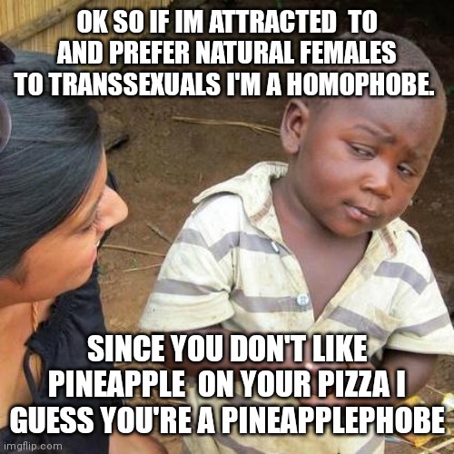 Third World Skeptical Kid Meme | OK SO IF IM ATTRACTED  TO AND PREFER NATURAL FEMALES TO TRANSSEXUALS I'M A HOMOPHOBE. SINCE YOU DON'T LIKE PINEAPPLE  ON YOUR PIZZA I GUESS YOU'RE A PINEAPPLEPHOBE | image tagged in memes,third world skeptical kid | made w/ Imgflip meme maker