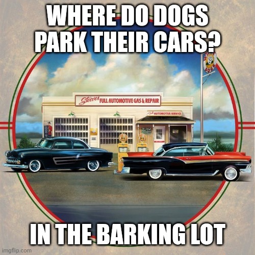 Daddy Rabbit memes | WHERE DO DOGS PARK THEIR CARS? IN THE BARKING LOT | image tagged in funny,cars,dogs | made w/ Imgflip meme maker