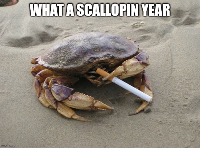 BEHOLD!!! CRINGE!!! Yeah you fuckers will suffer | WHAT A SCALLOPIN YEAR | image tagged in smoking crab | made w/ Imgflip meme maker