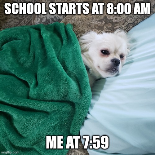 Me at 7:59 | SCHOOL STARTS AT 8:00 AM; ME AT 7:59 | image tagged in funny,meme,school | made w/ Imgflip meme maker