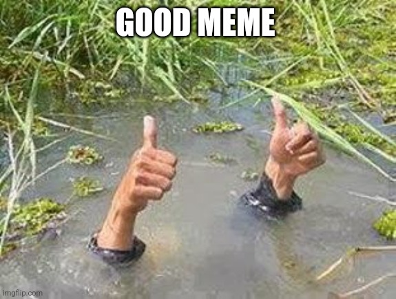 FLOODING THUMBS UP | GOOD MEME | image tagged in flooding thumbs up | made w/ Imgflip meme maker