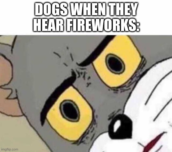 Image Title | DOGS WHEN THEY HEAR FIREWORKS: | image tagged in tom cat unsettled close up,dogs,memes,so true memes,oh wow are you actually reading these tags | made w/ Imgflip meme maker