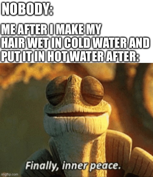Perfection. | NOBODY:; ME AFTER I MAKE MY HAIR WET IN COLD WATER AND PUT IT IN HOT WATER AFTER: | image tagged in finally inner peace,memes,funny,relatable,shower,master oogway | made w/ Imgflip meme maker