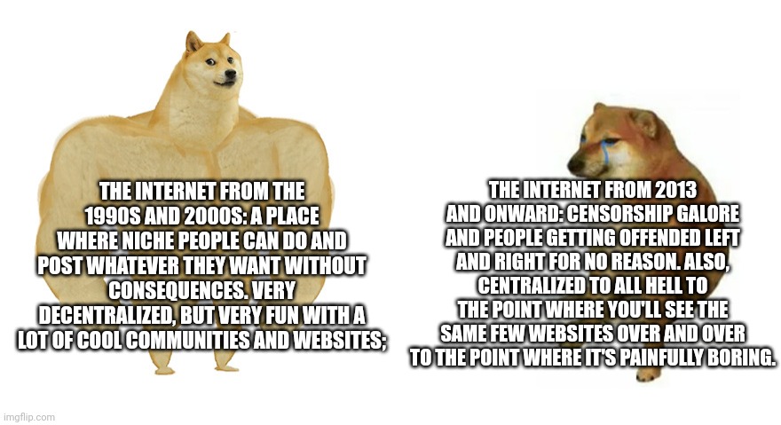 Gen Z and big corporations killed the internet | THE INTERNET FROM THE 1990S AND 2000S: A PLACE WHERE NICHE PEOPLE CAN DO AND POST WHATEVER THEY WANT WITHOUT CONSEQUENCES. VERY DECENTRALIZE | image tagged in buff doge vs crying cheems,internet,90s internet,2000s internet | made w/ Imgflip meme maker