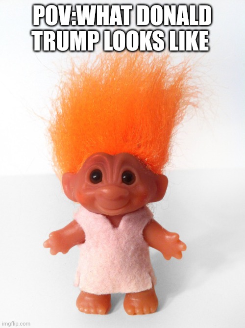 Troll doll | POV:WHAT DONALD TRUMP LOOKS LIKE | image tagged in troll doll | made w/ Imgflip meme maker