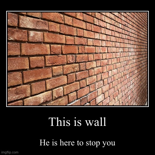 This is wall | He is here to stop you | image tagged in funny,demotivationals | made w/ Imgflip demotivational maker