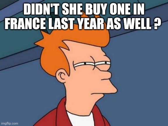 Futurama Fry Meme | DIDN'T SHE BUY ONE IN FRANCE LAST YEAR AS WELL ? | image tagged in memes,futurama fry | made w/ Imgflip meme maker
