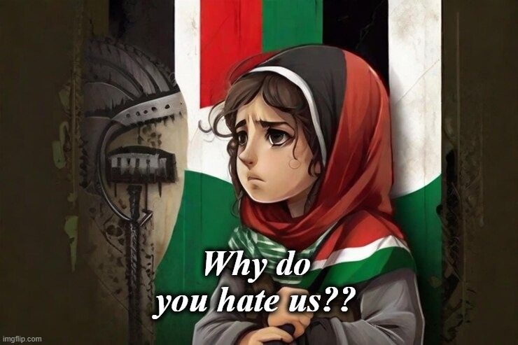 Free Palestine | Why do you hate us?? | image tagged in free palestine | made w/ Imgflip meme maker