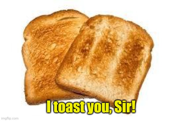 Toast | I toast you, Sir! | image tagged in toast | made w/ Imgflip meme maker