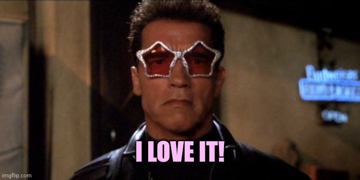 Funky Arnold Schwarzenegger | I LOVE IT! | image tagged in funky arnold schwarzenegger | made w/ Imgflip meme maker