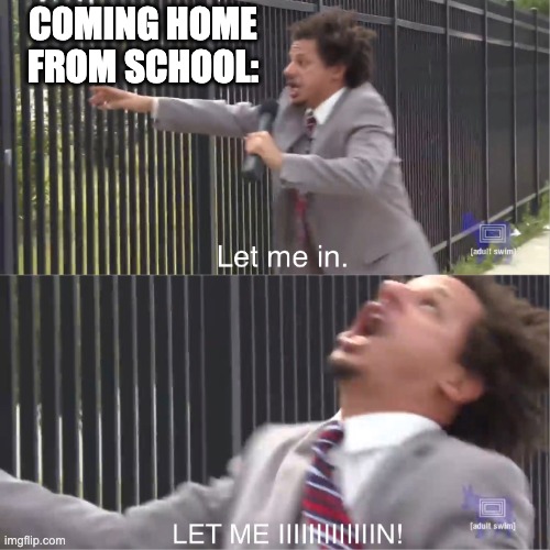 Everyday after school | COMING HOME FROM SCHOOL: | image tagged in let me in | made w/ Imgflip meme maker