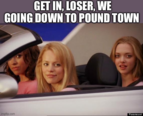 Loser. | GET IN, LOSER, WE GOING DOWN TO POUND TOWN | image tagged in get in loser | made w/ Imgflip meme maker