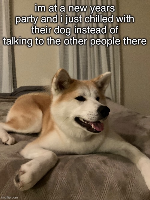 doge | im at a new years party and i just chilled with their dog instead of talking to the other people there | made w/ Imgflip meme maker