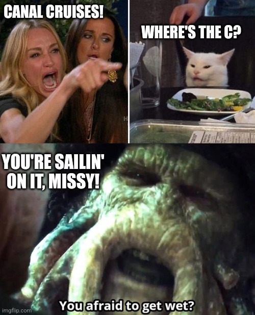 CANAL CRUISES! WHERE'S THE C? YOU'RE SAILIN' ON IT, MISSY! | image tagged in angry lady cat,afraid to get wet | made w/ Imgflip meme maker
