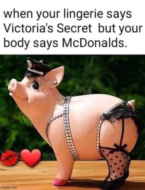 What a combo... | image tagged in repost,mcdonalds,victoriasecret | made w/ Imgflip meme maker