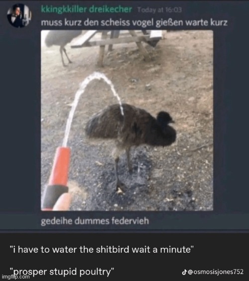 shitbird | made w/ Imgflip meme maker