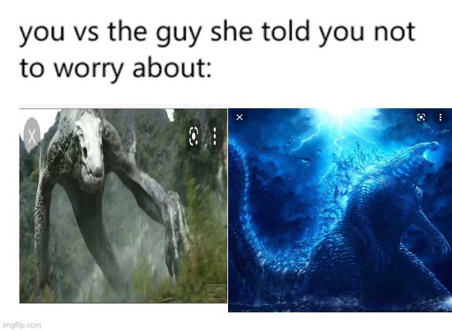 Any Godzilla vs Kong fans here? If so who you going for Godzilla or Kong? | image tagged in you vs the guy she told you not to worry about | made w/ Imgflip meme maker