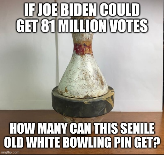 should I post in politics | IF JOE BIDEN COULD GET 81 MILLION VOTES; HOW MANY CAN THIS SENILE OLD WHITE BOWLING PIN GET? | made w/ Imgflip meme maker