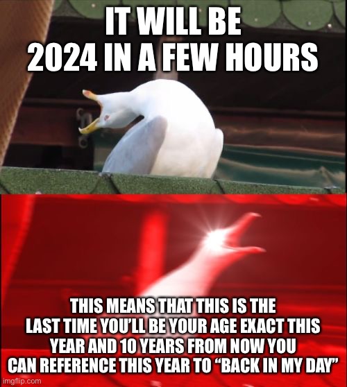 Happy New Year!!!!!!! deep thoughts with the seagull | IT WILL BE 2024 IN A FEW HOURS; THIS MEANS THAT THIS IS THE LAST TIME YOU’LL BE YOUR AGE EXACT THIS YEAR AND 10 YEARS FROM NOW YOU CAN REFERENCE THIS YEAR TO “BACK IN MY DAY” | image tagged in screaming seagull | made w/ Imgflip meme maker
